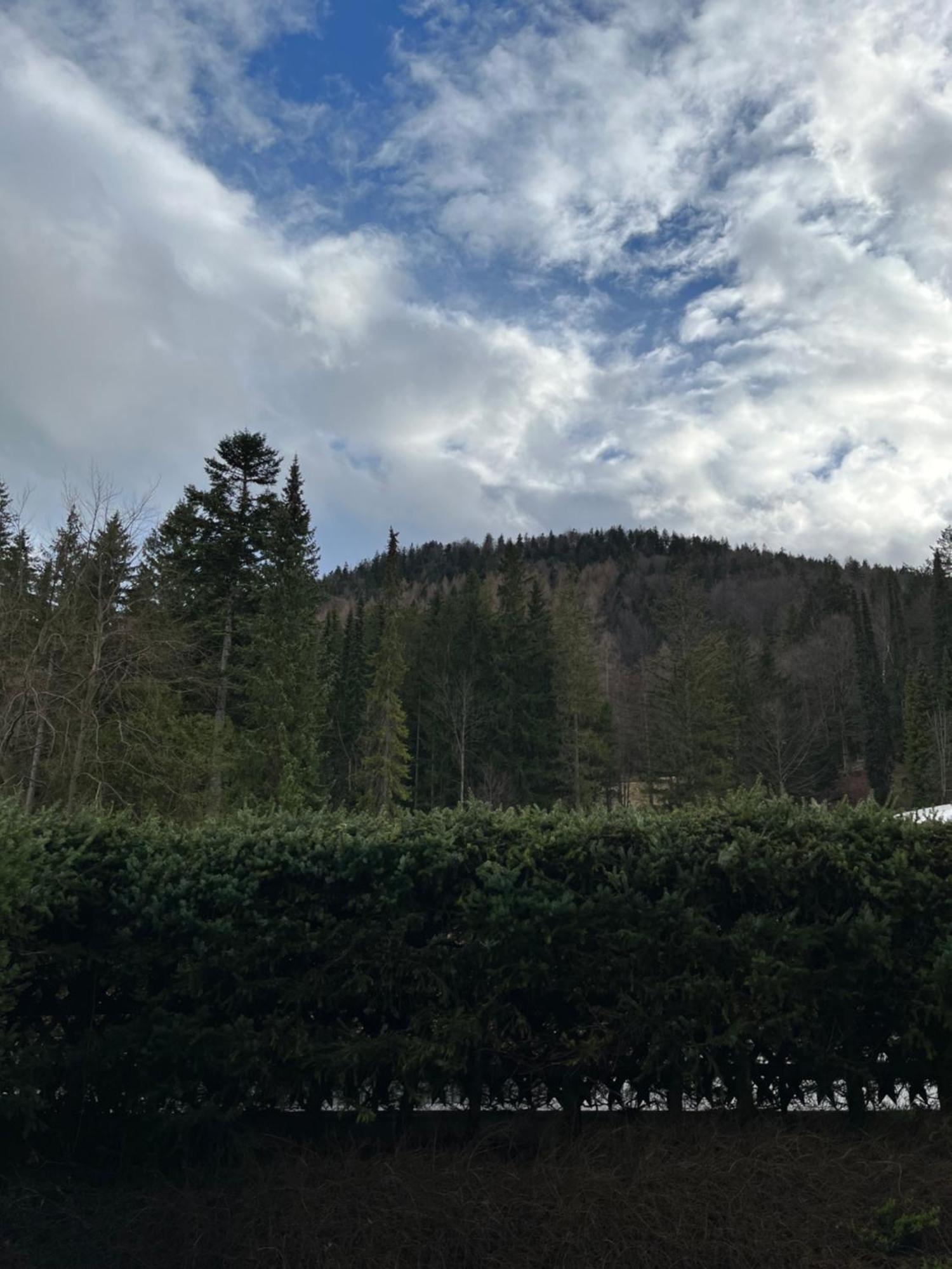 Fewo Lautersee Mittenwald Εξωτερικό φωτογραφία