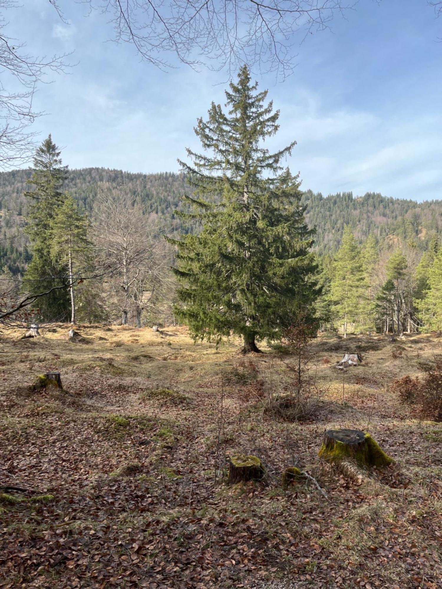 Fewo Lautersee Mittenwald Εξωτερικό φωτογραφία