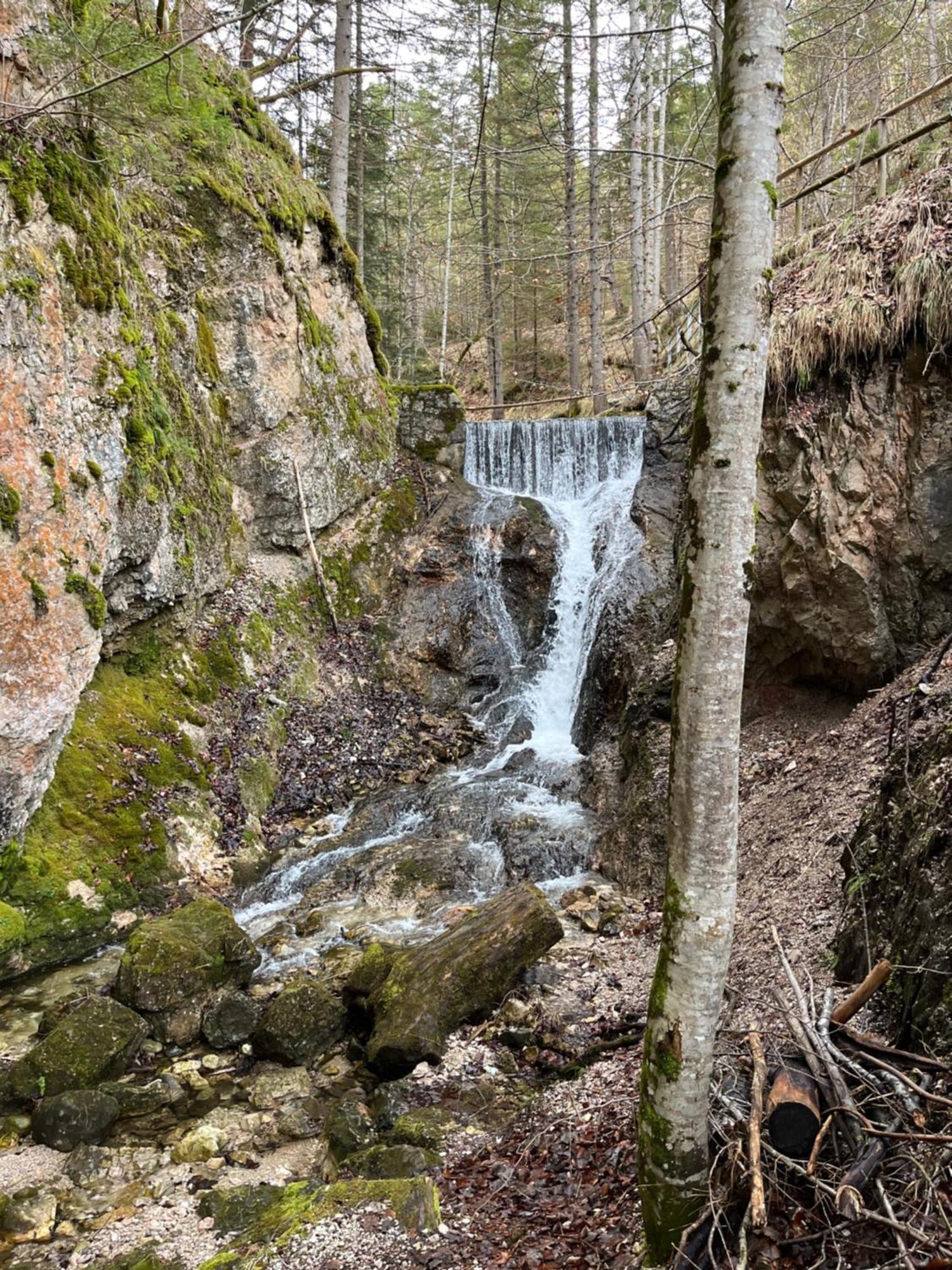 Fewo Lautersee Mittenwald Εξωτερικό φωτογραφία