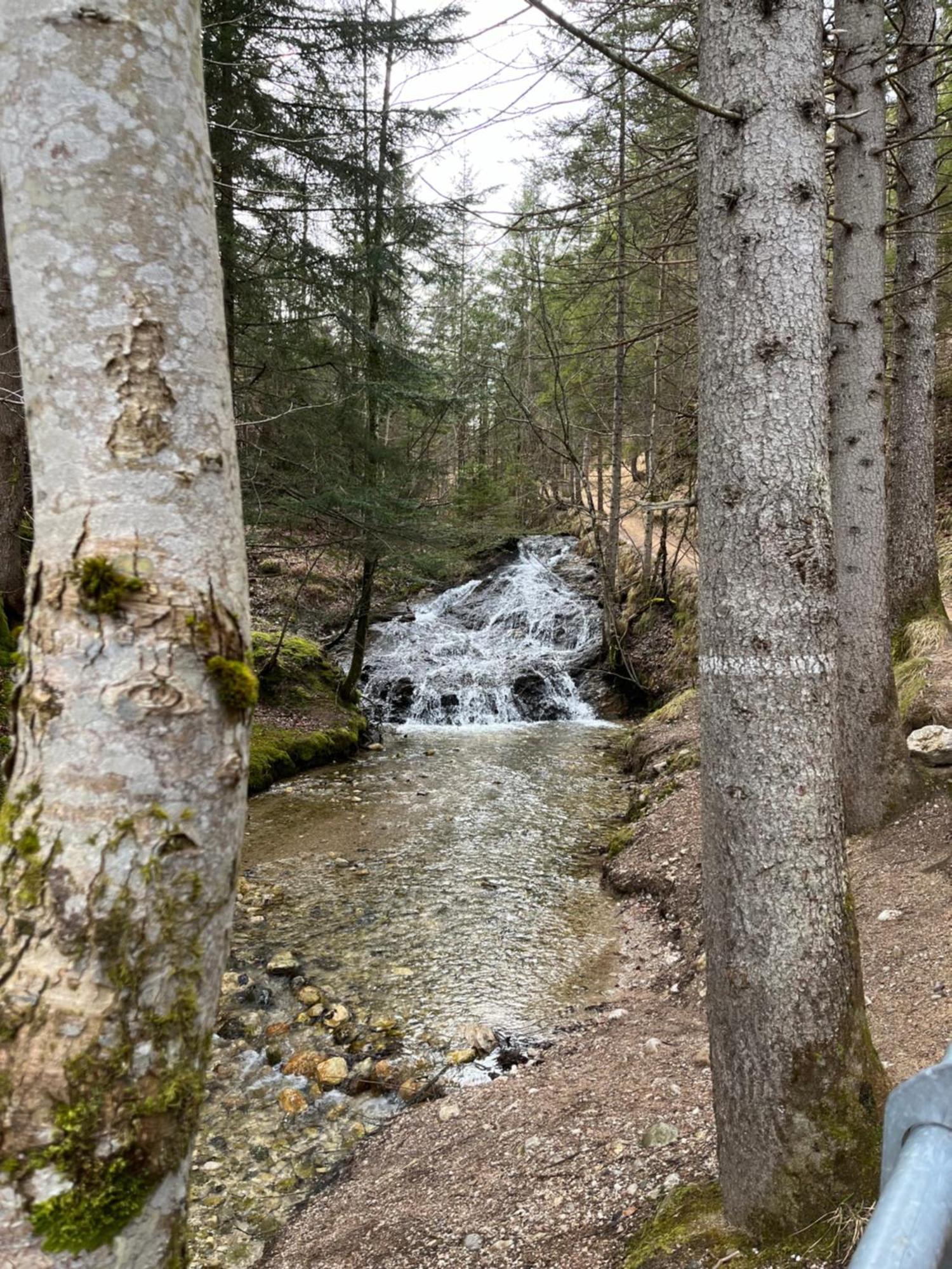 Fewo Lautersee Mittenwald Εξωτερικό φωτογραφία