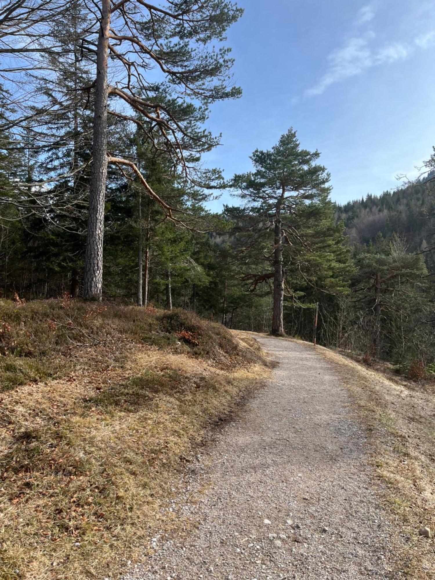 Fewo Lautersee Mittenwald Εξωτερικό φωτογραφία