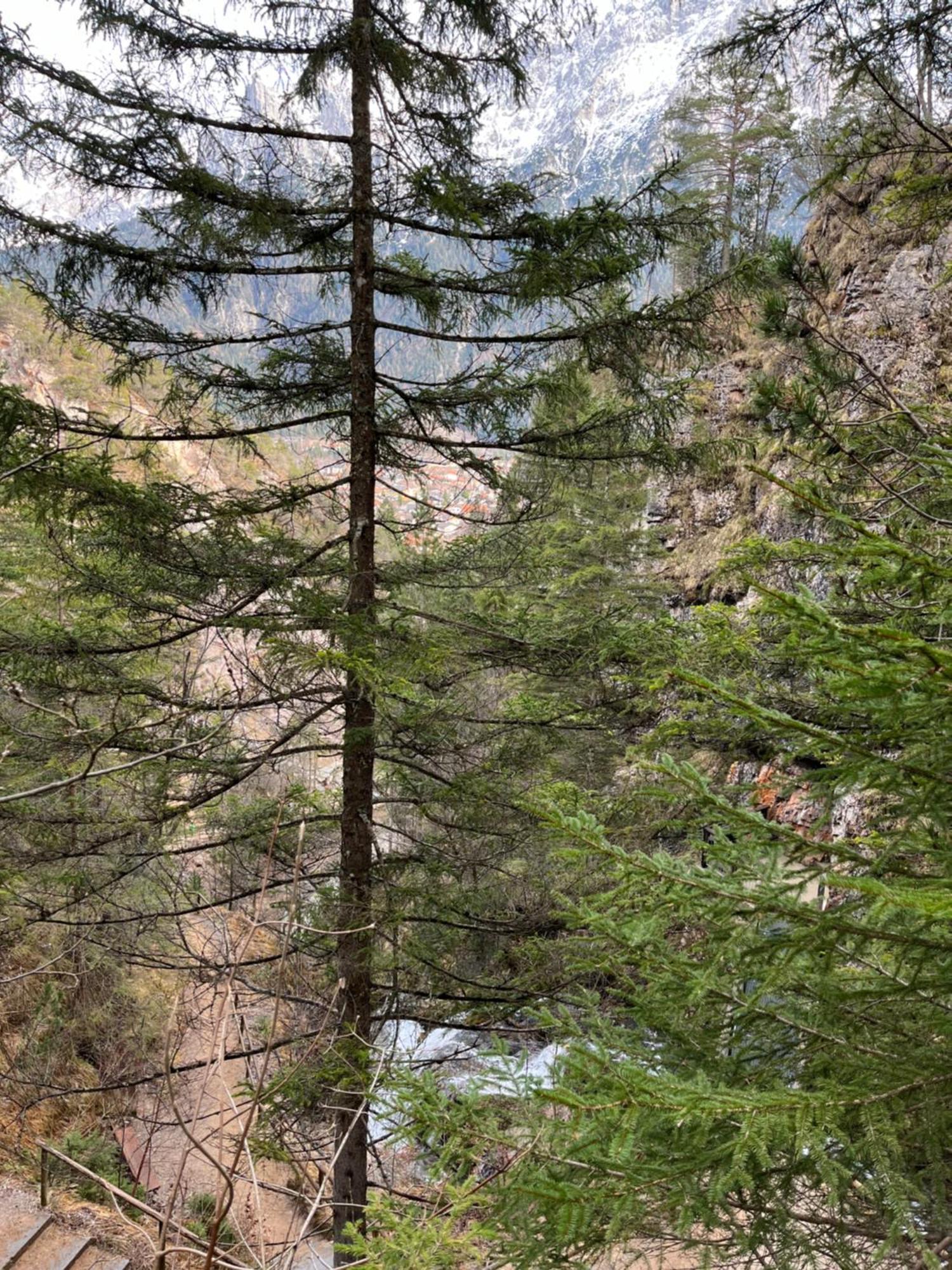 Fewo Lautersee Mittenwald Εξωτερικό φωτογραφία